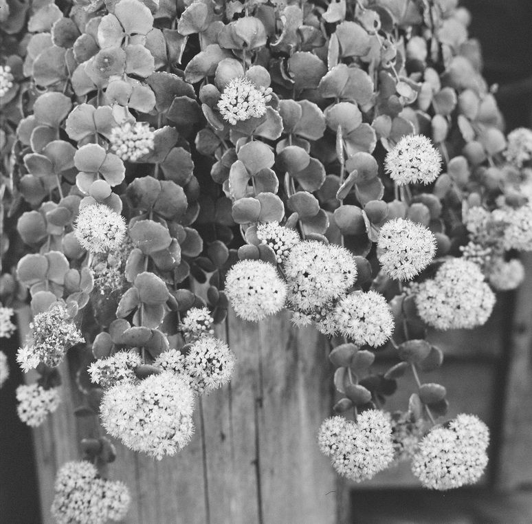 卯里学ポートフォリオ